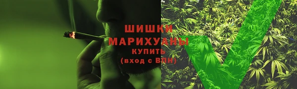 молекула духа Бронницы