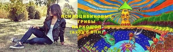 молекула духа Бронницы
