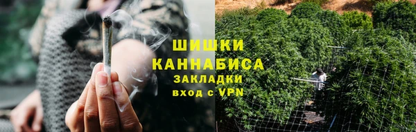 гидропоника Бородино