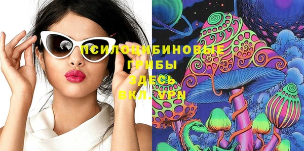 молекула духа Бронницы