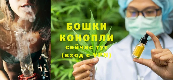 гидропоника Бородино