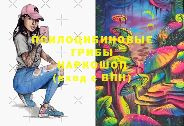 молекула духа Бронницы