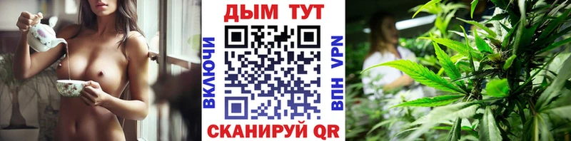 Бошки Шишки MAZAR Губкинский